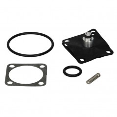 Petrol faucet repair kit