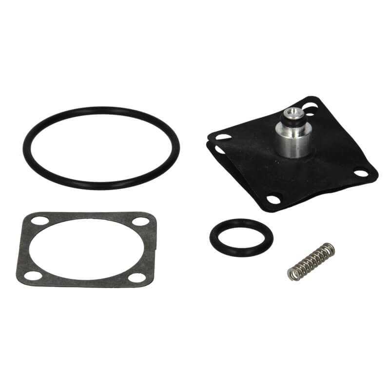 Petrol faucet repair kit