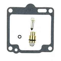 Carburetor repair kit