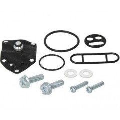 Petrol faucet repair kit
