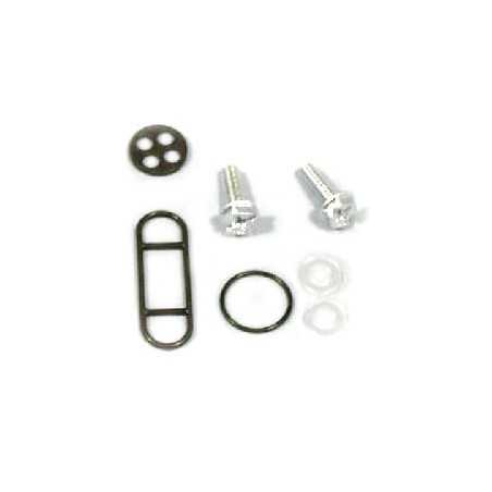 Petrol faucet repair kit