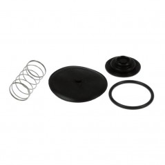 Petrol faucet repair kit