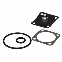 Petrol faucet repair kit