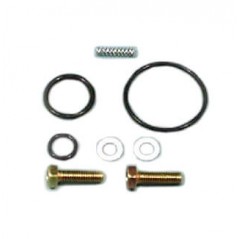 Petrol faucet repair kit