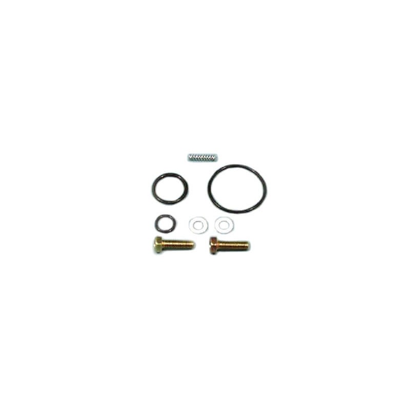 Petrol faucet repair kit