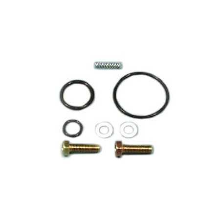 Petrol faucet repair kit