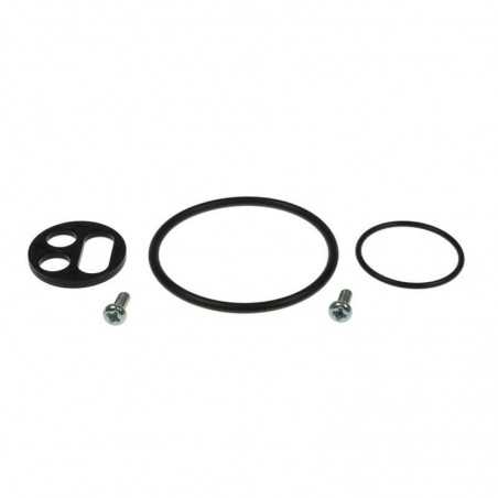 Petrol faucet repair kit