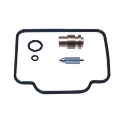 Carburetor repair kit