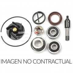 Water pump repair kit  666A005WP