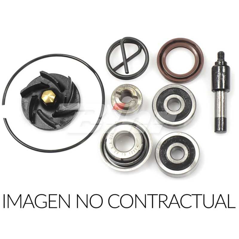 Water pump repair kit  666A005WP