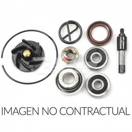 Water pump repair kit  666A005WP