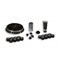 MALOSSI Variador Multivar MHR 101260