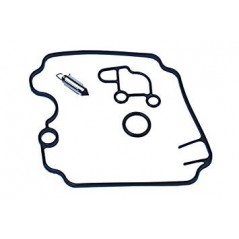 Carburetor repair kit