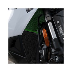 RG RACING Rejilla de tubo escape 1095993001