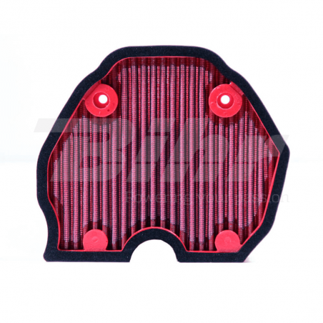 BMC Filtro de aire Benelli FM953/04 790391