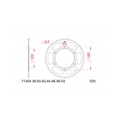 AFAM Steel pinion with anti-noise rubber 73303NR-520 1151538002