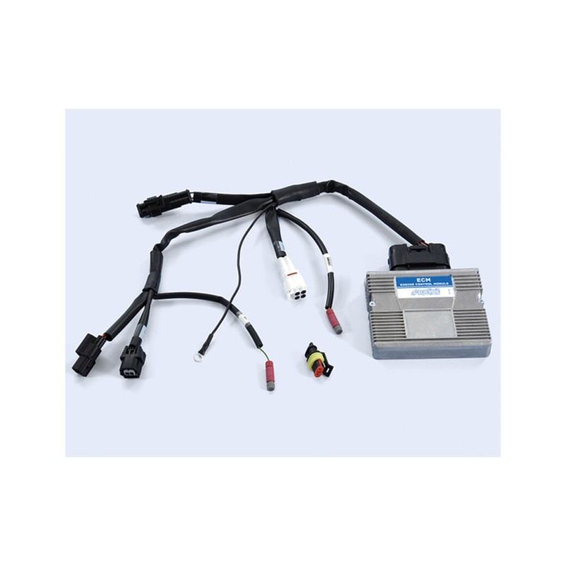 POLINI Electronic control unit ECU 1149885