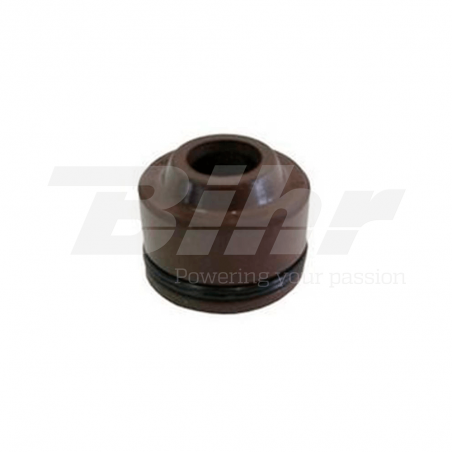 Valve guide  35.VS023