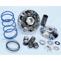 Drive, complete  Evolution Minarelli D.16 (antiguo PLN241708)
