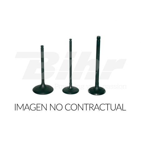 Titanium valve  Ø35.00 L 84.60 Ø 5.50