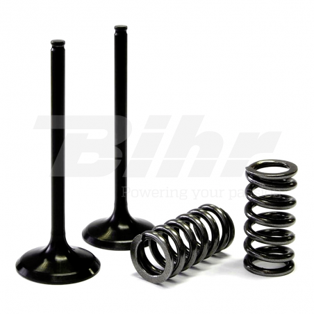 Steel valve kit and admission spring  Kawasaki 28.SIS4336-2