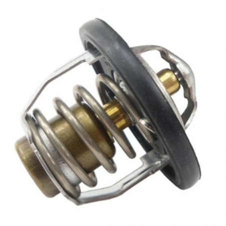 thermostat tmt-202y