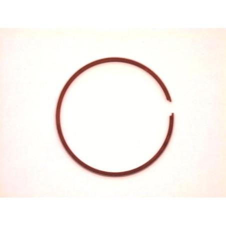 segment  55.75 mm