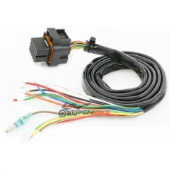 KOSO Cableado principal de marcador DB01R BO018000 49209