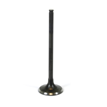 titanium uitlaatklep