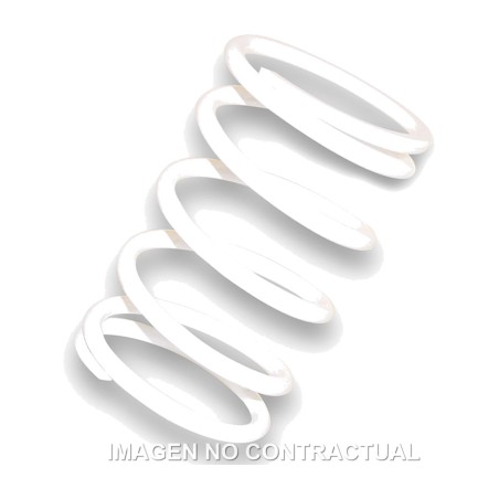 driven pulley spring blanco
