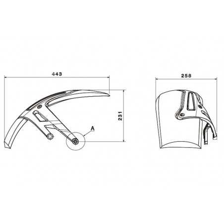 parafangs posterior