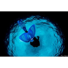 CRESSI Aleta de snorkeling alta gama | Calzante en goma elastómero flexible Polipropileno para un aleteo ágil y eficaz Homologad