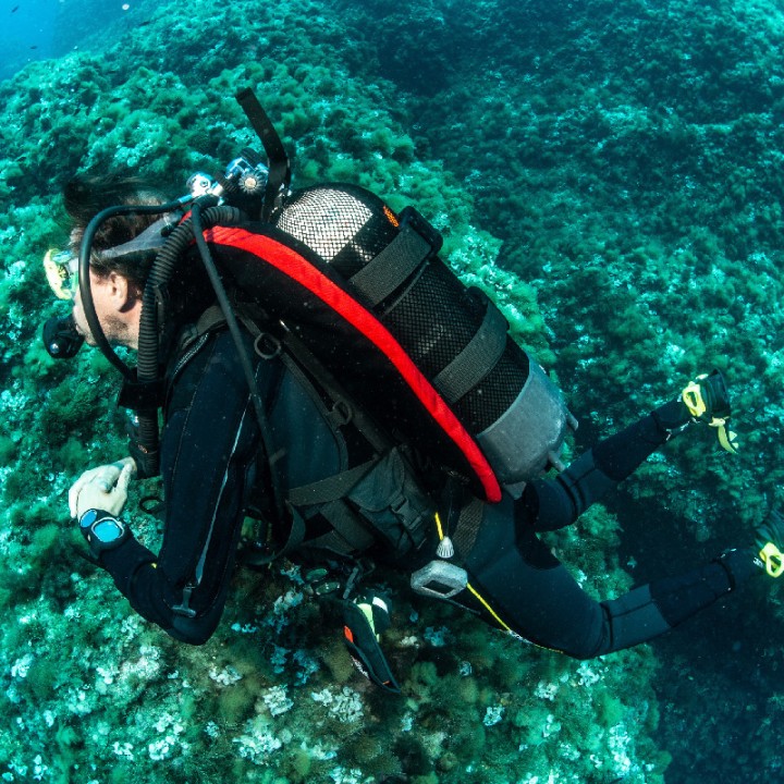 SEAC SUB Chaleco BCD de buceo MODULAR 0420037520998A