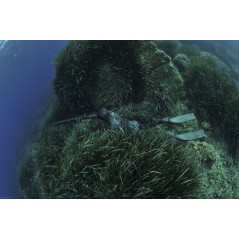 CRESSI UNDERWATER JACKET UNDERWATER FISHING TRACINA 7mm CLE 465202VAR