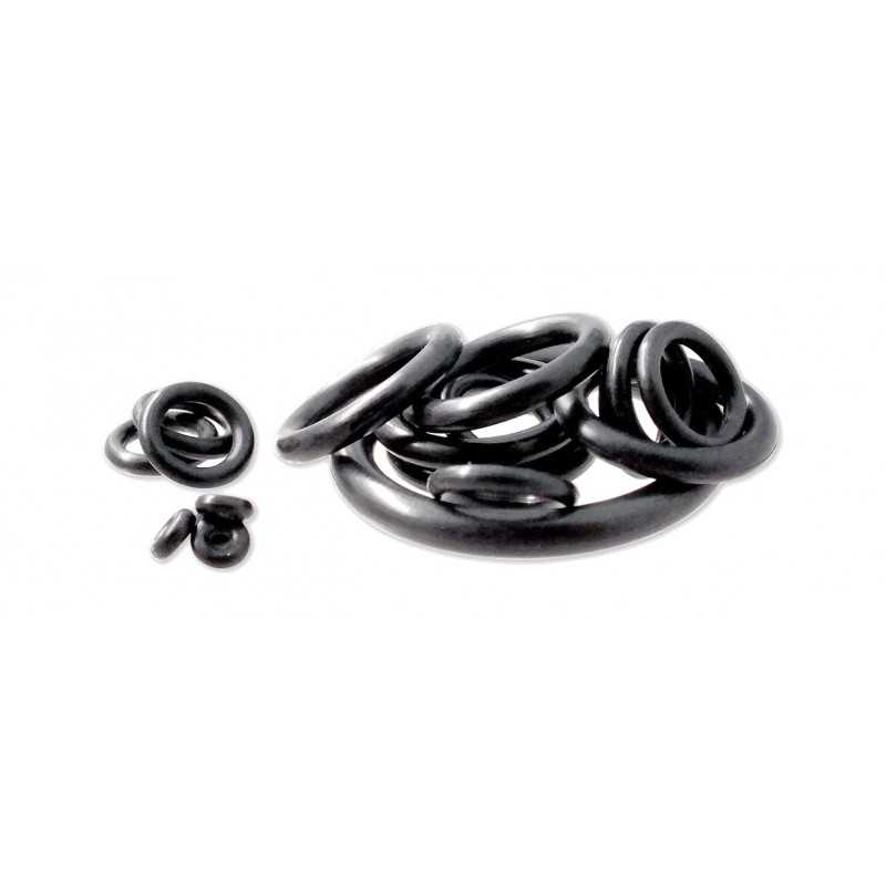 Kit of 20 gaskets regulator  IST