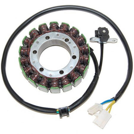stator generatorspole