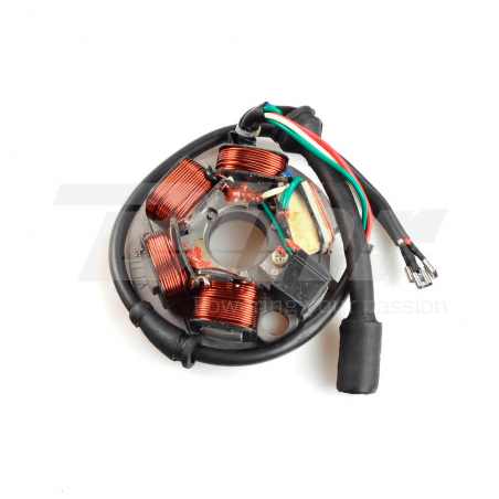 stator generatorspole 199495
