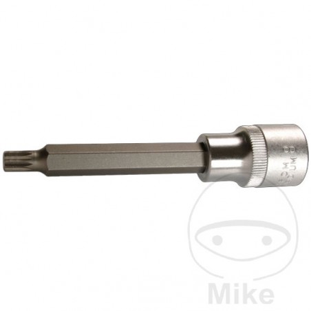 bitshylsa 100 mm multident 1/2 m16