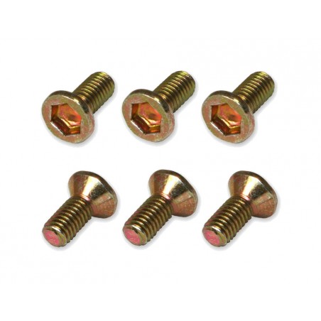 front brake disc screw kit