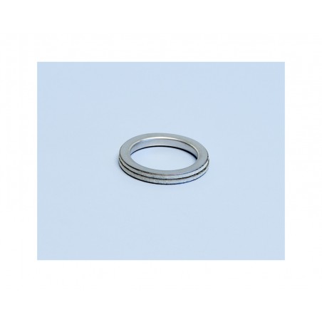 gaskets, exhaust  (2520003)