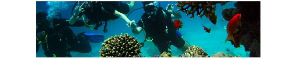 Recambios de buceo, apnea - Scubatic