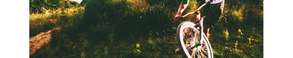 HINTERBAUDÄMPFER