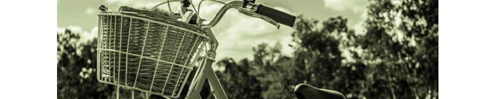 Almacenaje y transporte bici: portabicis, baúles, fundas | Scubatic